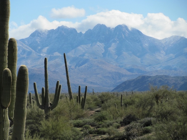 IMG_3317 (640x480) IMG_3317 (640x480)