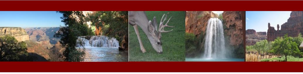 My Arizona Guide My Arizona Guide