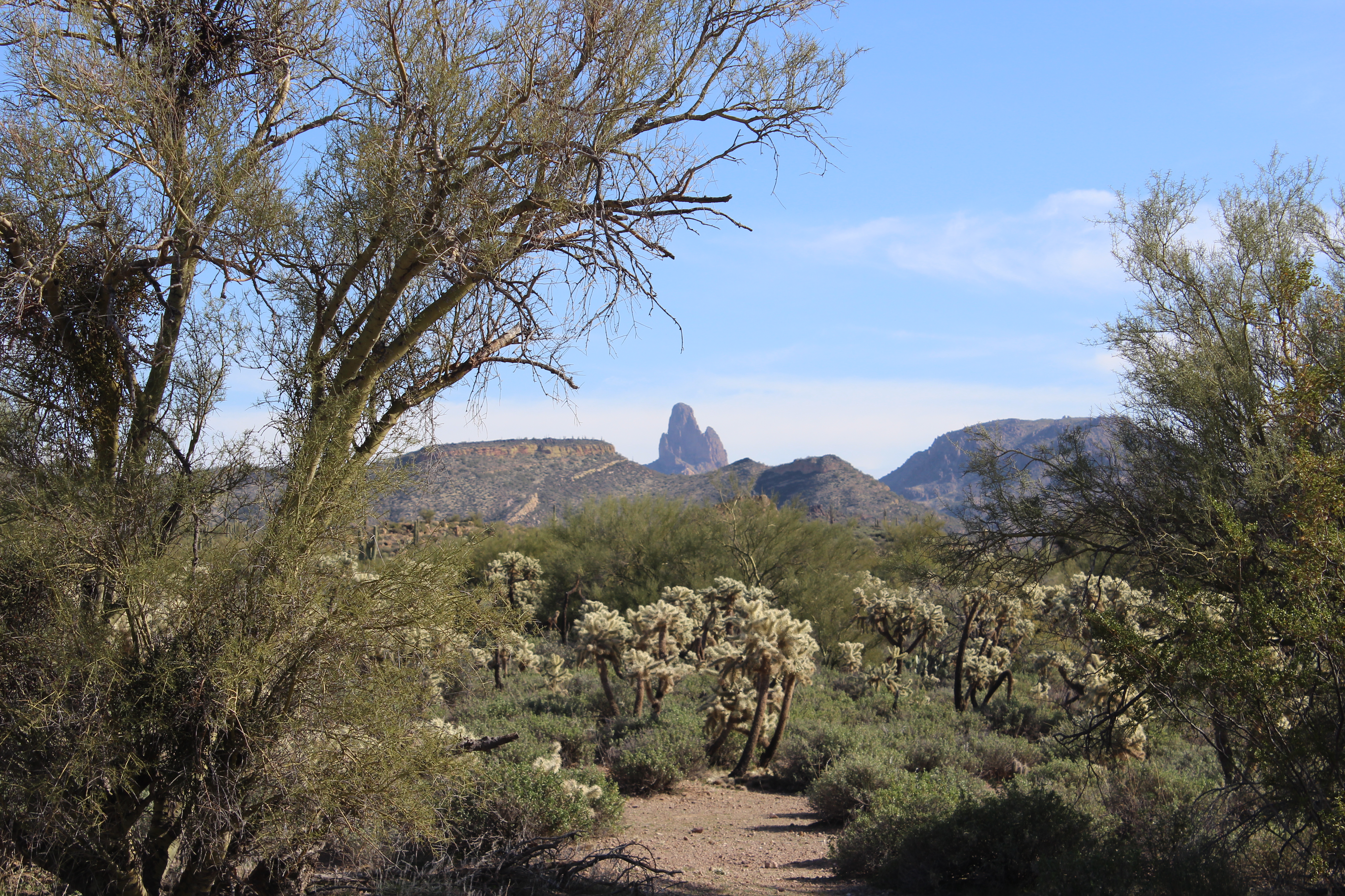 Superstition Hike 3