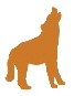 cropped logo coyote