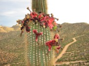 banner road 180 banner road 180